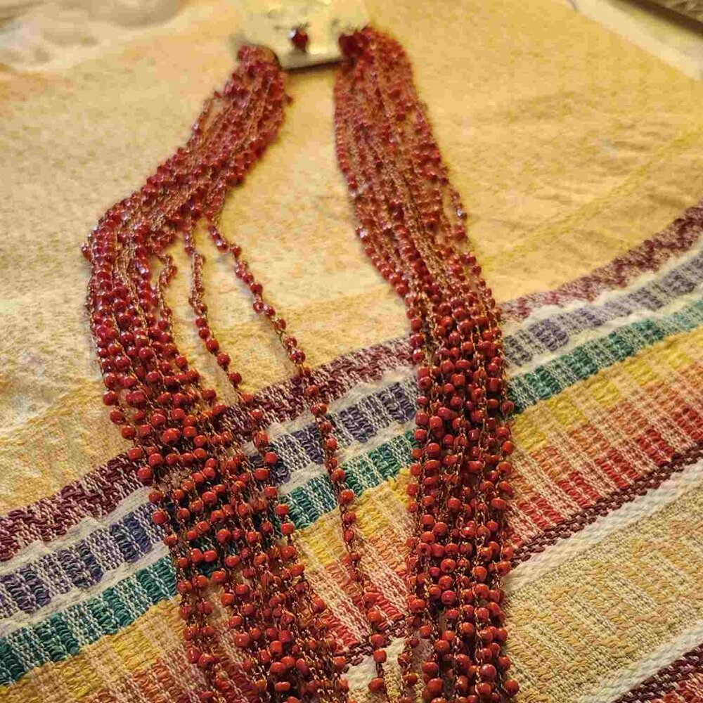 Long 33 inch seed like bead necklace and matching earings.